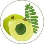 TECNOFEX Original Cologne for Men ADIVASI HAIR OIL