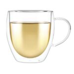 Ginoya Brothers 250 Ml Double Wall Glass Insulated Coffee Mug, Heat Resistant Borosilicate Cup For Hot & Cold Drinks With Comfortable Handle (Pack Of 1)