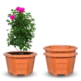 Meepo Hexagonal Brown Orchid Planter Pot for Indoor Outdoor Home Office and Balcony Decoration ||Modern Style Virgin Plastic Plant Pots (7 Inch, Pack of 2)