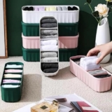 TEKCOOL Innerwear Organizer Bra Organizer for Wardrobe Organizer for Clothes, Panty Organizer, Socks Organizer, Undergarments Organizer, Makeup Cosmetic Organizer (2 Pcs, Multicolor)